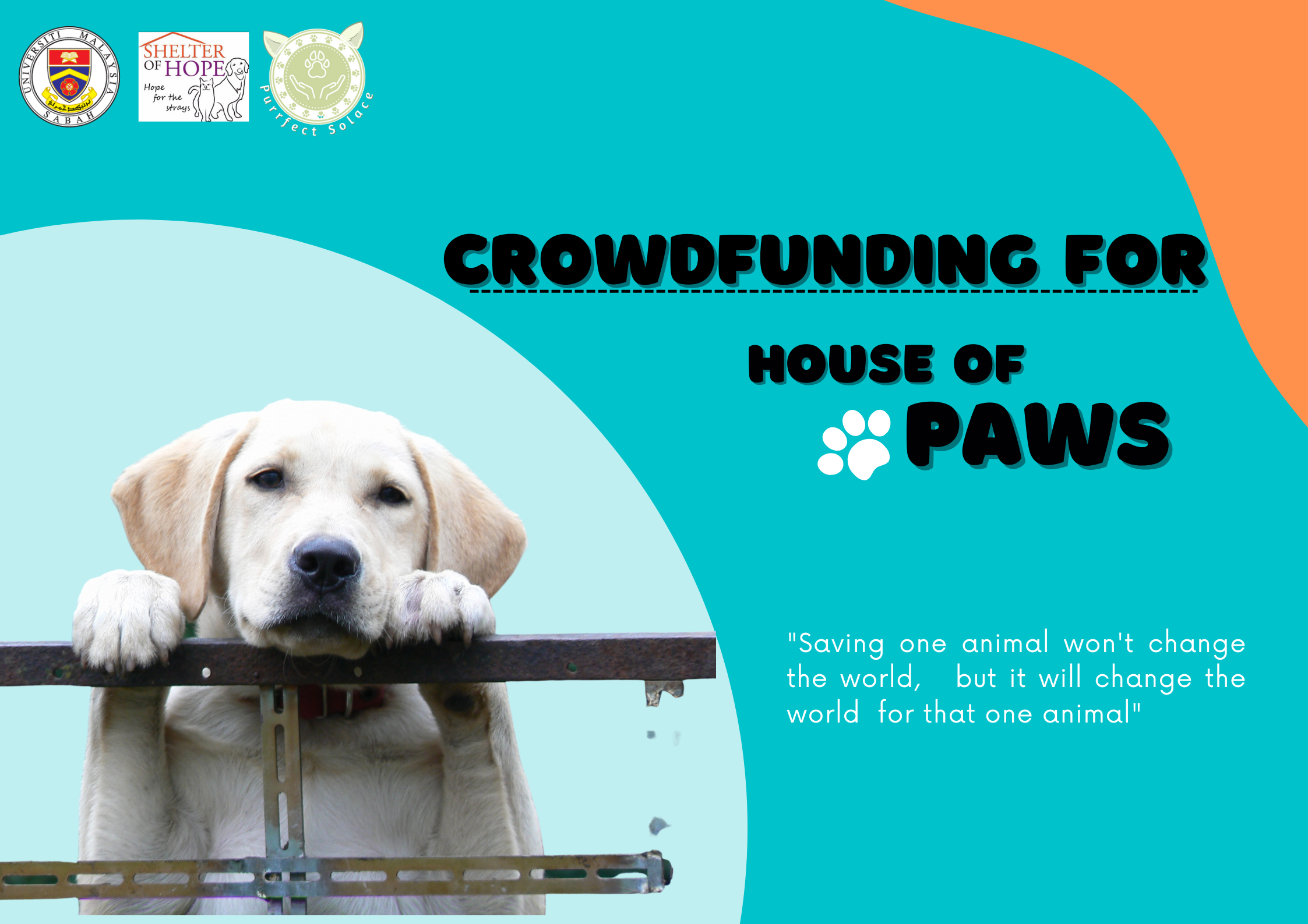 House of Paws Mystartr Crowdfunding in Malaysia